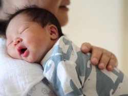 苏主任医师